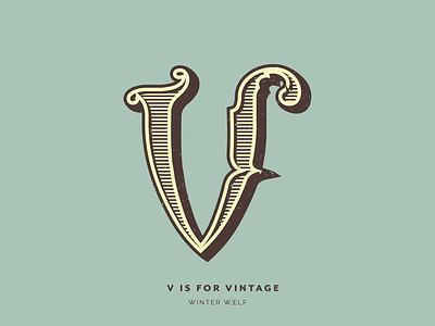 V is for Vintage 36 days of type 36 days of type lettering adobe illustrator calligraphy doodle drawing flourishing graphic design hand lettering illustration illustrator lettering procreate typography v logo vintage vintage lettering vintage type vintage typeface winter wolf creative