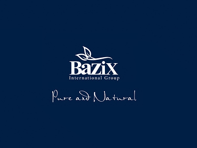 Bazix international group