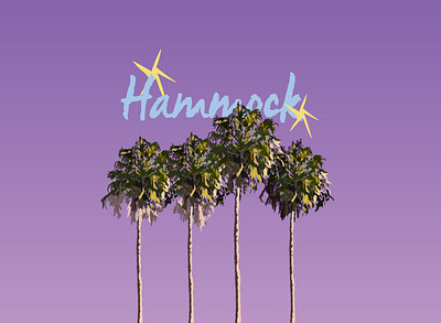 Palms beach beach poster hammock palm poster palms sunset