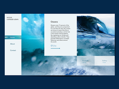 Oceana UI concept design graphic design landingpage ui uidaily webdesign