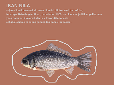 Nila Fish By Annanoka On Dribbble