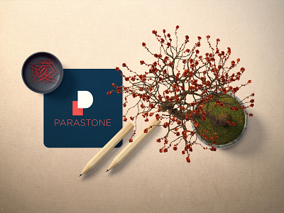 PARASTONE LOGO CONCEPT art brand branding clean identity illustration illustrator logo typography