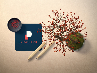 PARASTONE LOGO CONCEPT