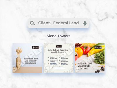 Graphics for Federal Land: Siena Towers [2019-2020] ads advertisement advertising design graphic design marketing