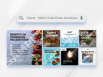 Square Graphics for ORCA Cold Chain Solutions [2020-2021] ads advertisement advertising design graphic design marketing