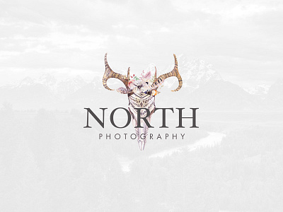 North Photography Logo