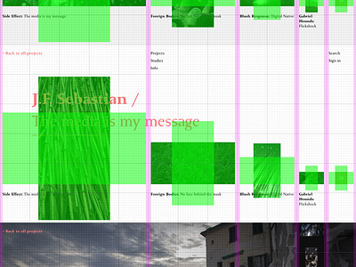 Blush Response  / Fibonacci Grid