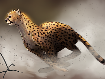 Cheetah 2d art animal art animal illustration cat cheetah creature art creature design creatureart nature wildlife