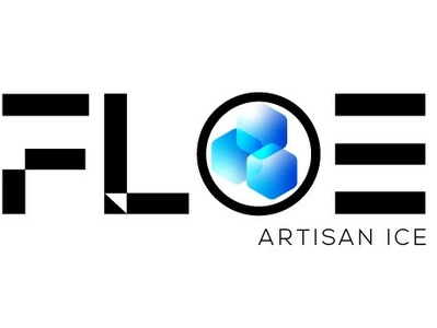 FLOE Logo branding design gradient illustration logo vector