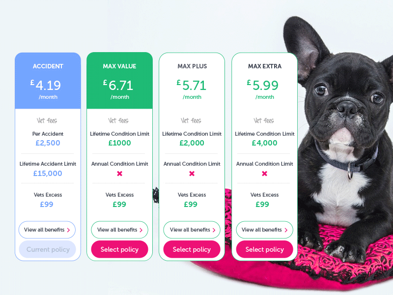 Policy table experiment dailyui dailyuichallenge compare price pricing uidesign ui interface clean pet table pricingtable