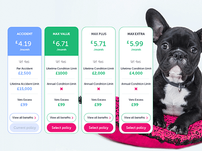 Policy table experiment clean compare dailyui dailyuichallenge interface pet price pricing pricingtable table ui uidesign