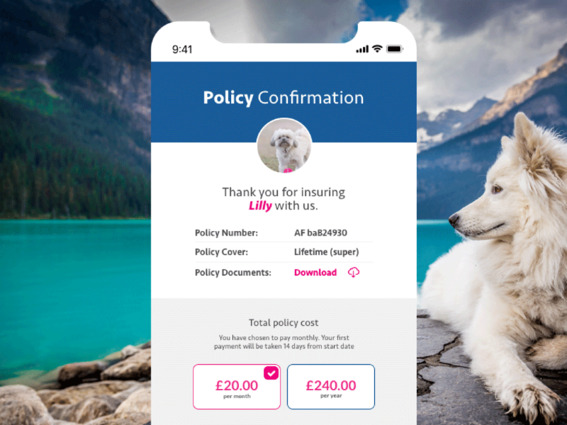 Email reciept policy documents order confirmation email reciept design uichallenge ui