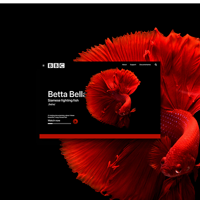 MacBook Pro Mockup bbc betta design design app flat graphic design identity illustration lettering mock up typography ui ux vector website