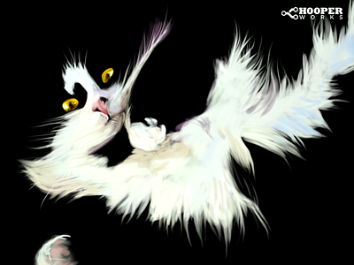 Blackjack the cat art cat design digital illustration digital painting graphicdesign illustration photoshop typography