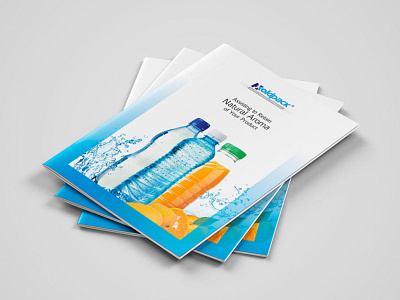 Brochure Design branding print design