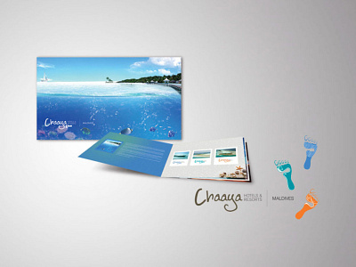 Brochure Design branding brochure print design