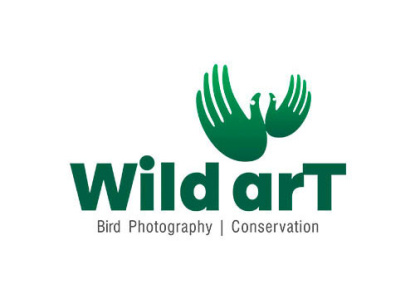 Logo Design bird photography bird photography branding logo design