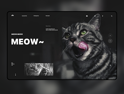 MEOW~ typography web