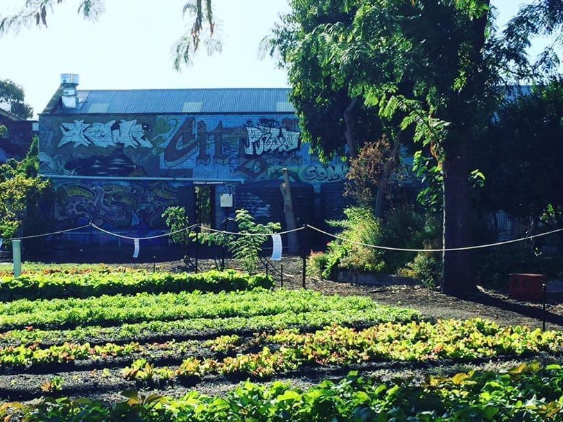 The Best Community Gardens in Perth by Luke Whelan on Dribbble