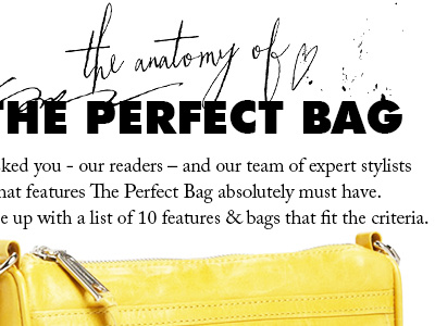 The Anatomy of the Perfect Bag