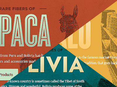 Paca-livia-lo colors hfj texture typography