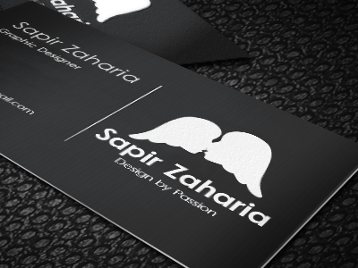 Sapir Card branding card design icon logo wings