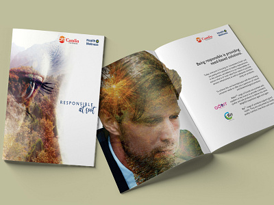 Brochure layout for Camlin Fine Sciences branding brochure concept creative design layout theme