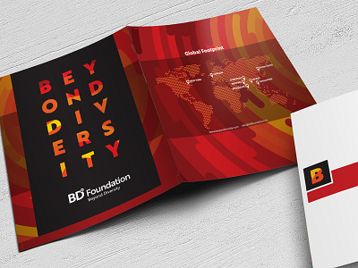 Bd New Bro 2 branding brochure design