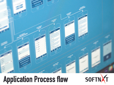 Application Process Flow