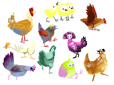 I Love Chickens birds character design chickens concept fowl golden books illustration pheasants retro upa vintage