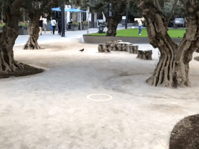 AR Pizza Cat! ar arkit augmented reality cat pizza