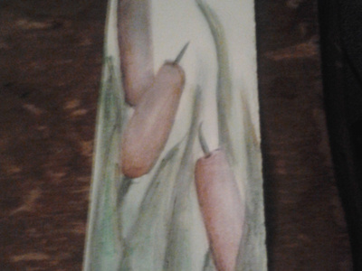 Cat Tails brown cattails green pencil watercolor