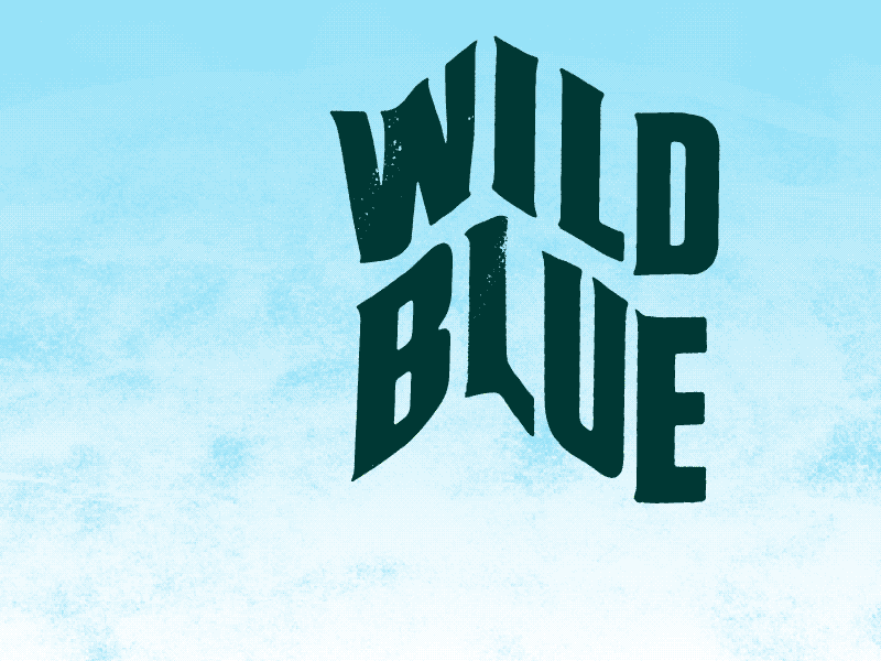 Wild Blue Logo fuzzco logo texture