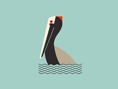 Pelican