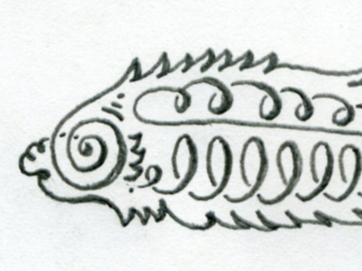 Roly-poly Fish Head draw fish illustration