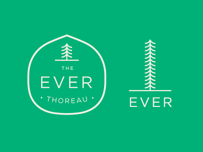 Thorough Thoreau evergreen thoreau trees