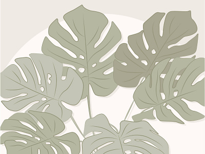 monstera flat illustration illustration illustrator minimal monstera plant plant illustration plants simple tropical