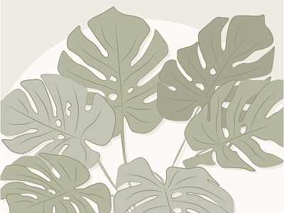 monstera