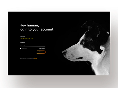 Login Page 🍋 design flat login login page minimal ui ux web website