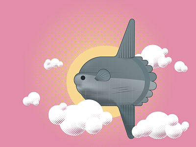 Day - Sunfish fish flight illustration sun
