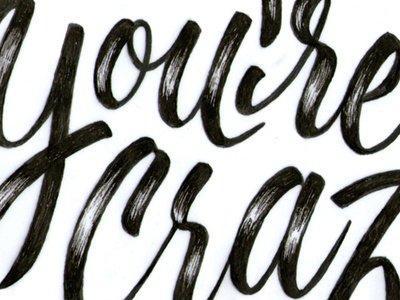 You're Crazy! brush ink lettering shading