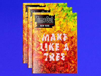 Final Time Out NY cover autumn editorial fall leaves lettering magazine tactile