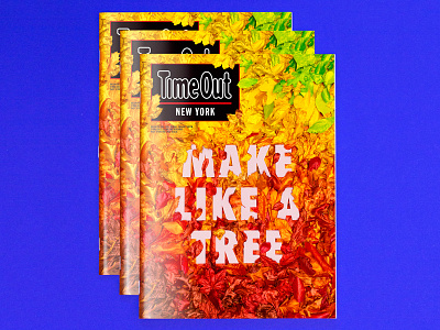 Final Time Out NY cover