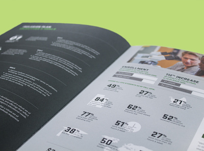 Annual Report Infographic data visualization design infographic print typography