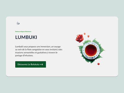 Infusions Website Design branding design minimal ui web
