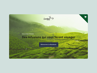Landing Page - Infusions Commerce branding design flat minimal web