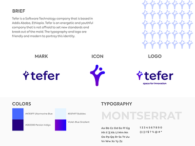 Tefer Dribble Post branding debut gradient icon illustration logo logo design software company software development typography vector