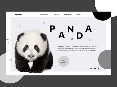 Panda. Animal. Concept animals concept design dribbble first design minimal panda shot ui web website