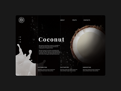 Coconut planet concept design dribbble shot ui ux web