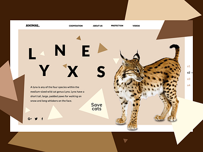 Love cats;) concept dailyui design dribbble shot ui ux web website